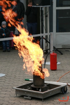 Eulenfest 2013